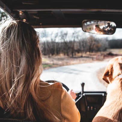 Vakantie met de hond. Autovakantie hondvriendelijk vakantiehuis Frankrijk!