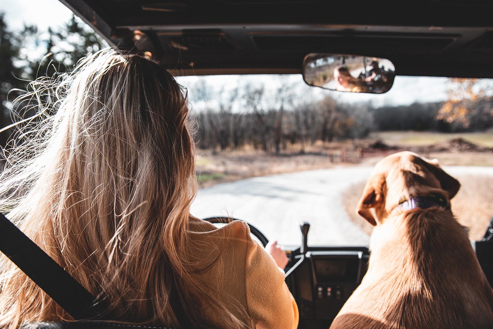 Vakantie met de hond. Autovakantie hondvriendelijk vakantiehuis Frankrijk!