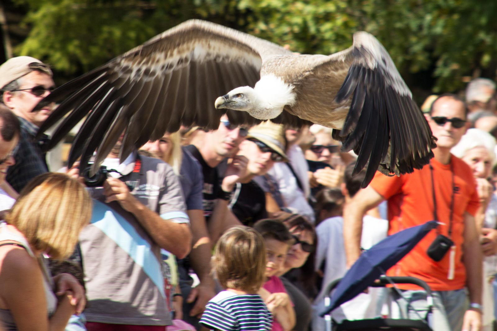 Vakantietips bezienswaardigheden ontdekken Lot (Occitanië) Frankrijk. Dagtrips, Rocher des Aigles à Rocamadour.