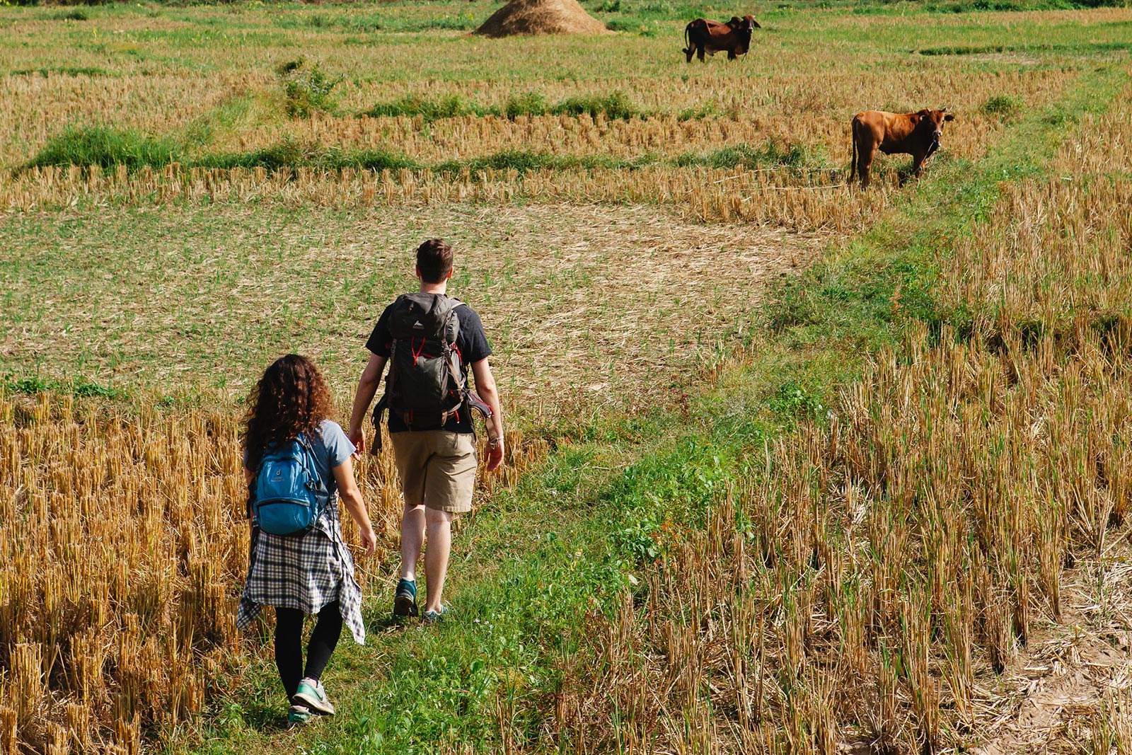 Wandelen in de buurt van je vakantiehuis in Coussac-Bonneval en Saint Germain les Belles, Frankrijk!