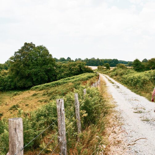 Wandelen in sw Huate-Vienne