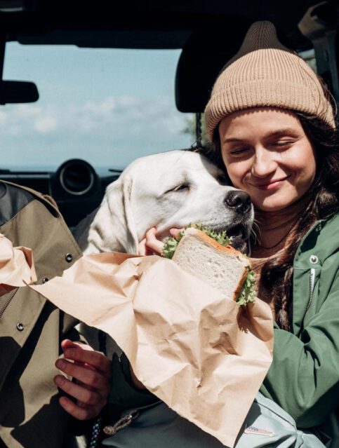 Vakantie met de hond. Autovakantie hondvriendelijk vakantiehuis Frankrijk!