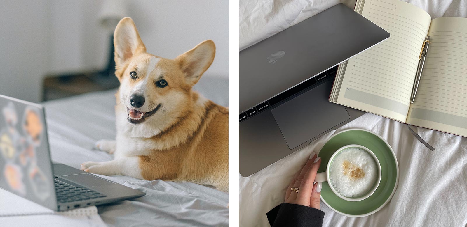 Vakantiethema workation. Wat is een workation laptop koffie hond vakantiehuis.
