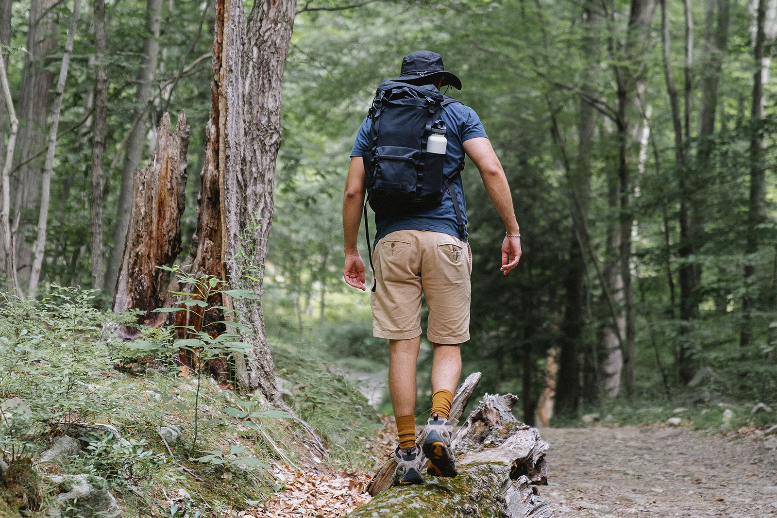 Hiking in the Hérault, Occitania. Walking holiday in France with a holiday home.